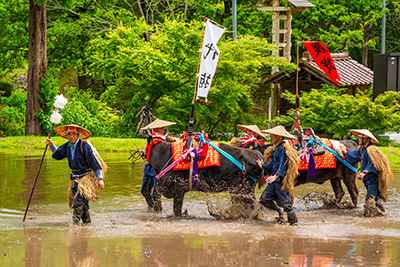 お知らせの画像