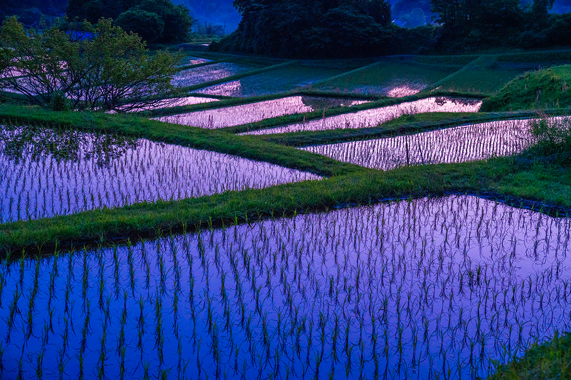 学会についての画像